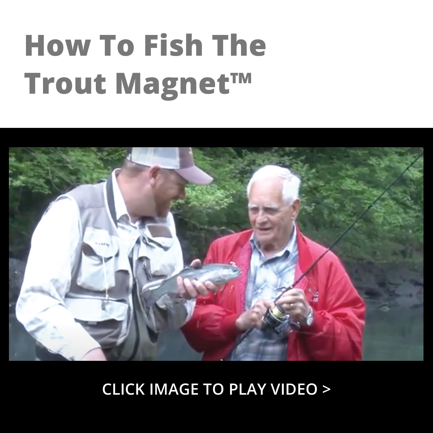 Trout Magnet Jig Heads - TROUT MAGNET