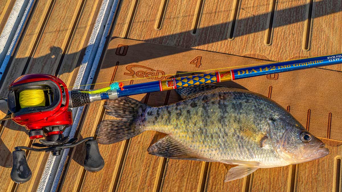 bnm-crappie-long-pole-jigging