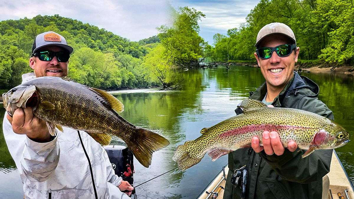 caney-fork-cross-over-trout-smallmouth