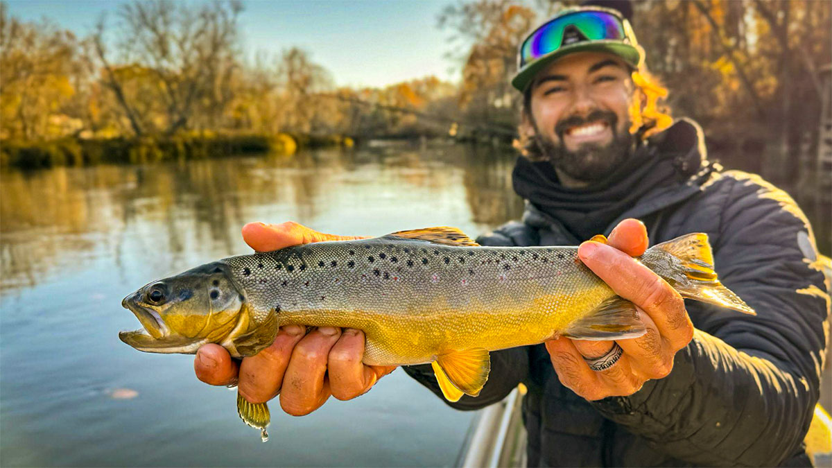 cole-harken-nice-brown-trout