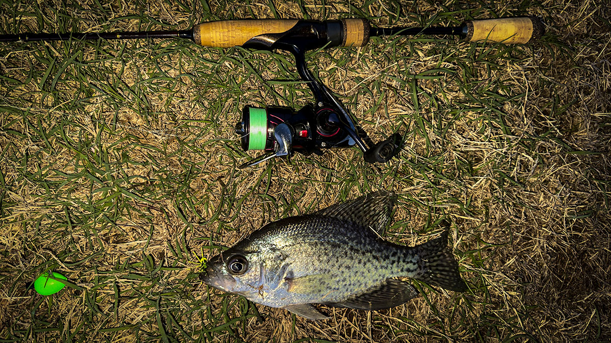crappie on an E-Z float from the bank