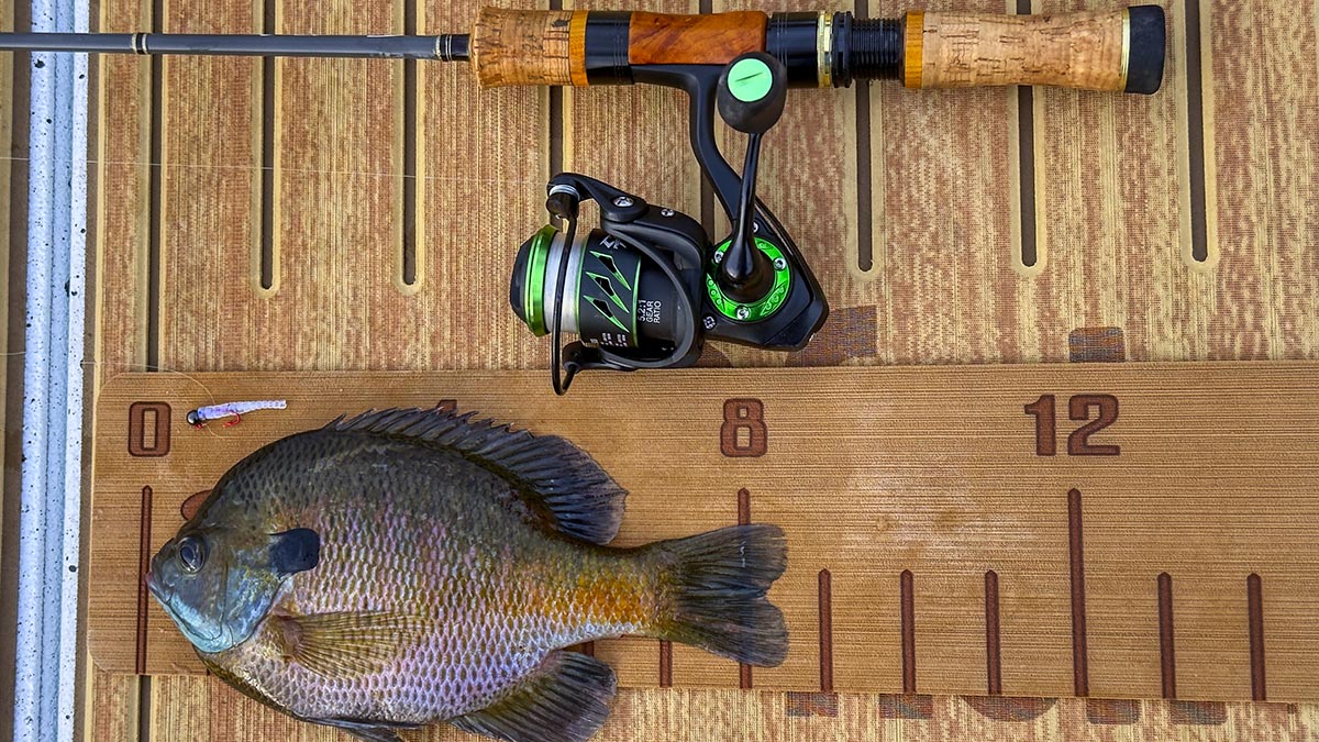 panfish-gear