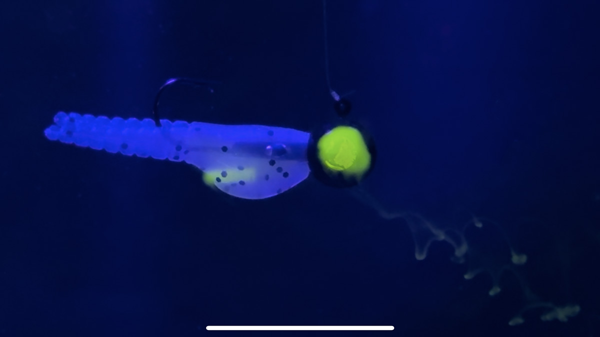 crappie magnet slab sav leeching out into the water