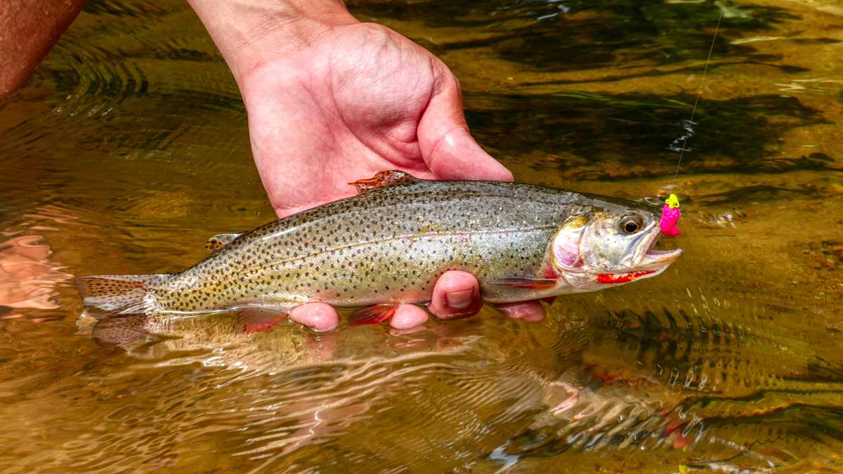 trout-magnet-mop-drop-cutthroat