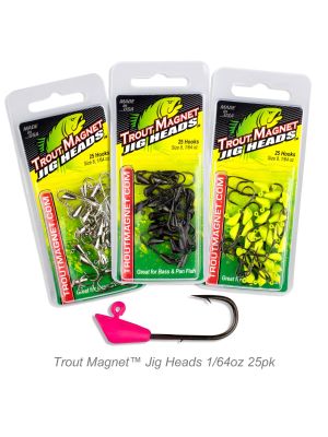 Search results for: 'therapist shad magnet 100