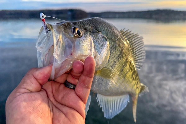 When Hair Jigs are Best for Crappie Fishing