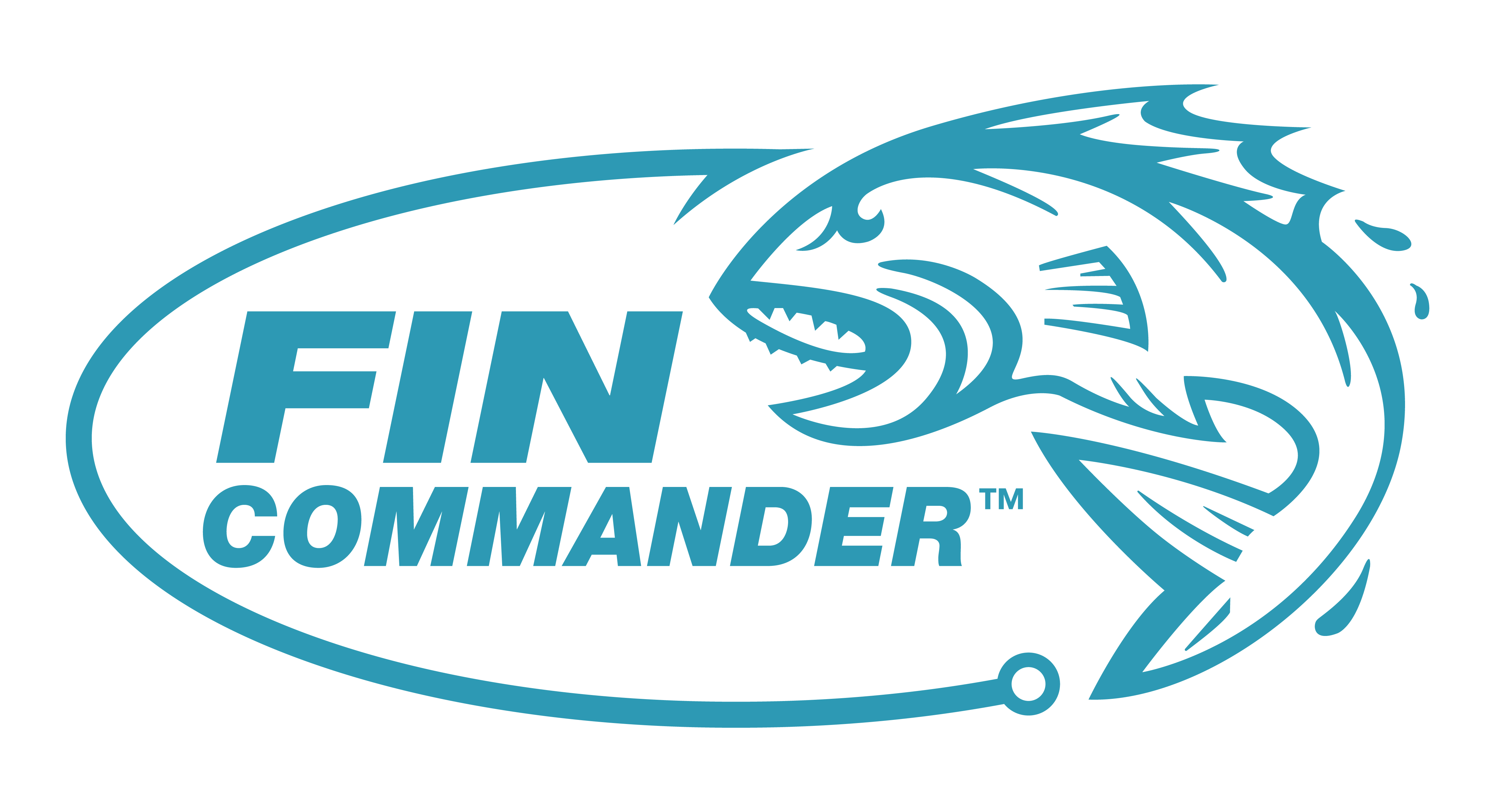 Fin_Commander_CLRLogo_1_